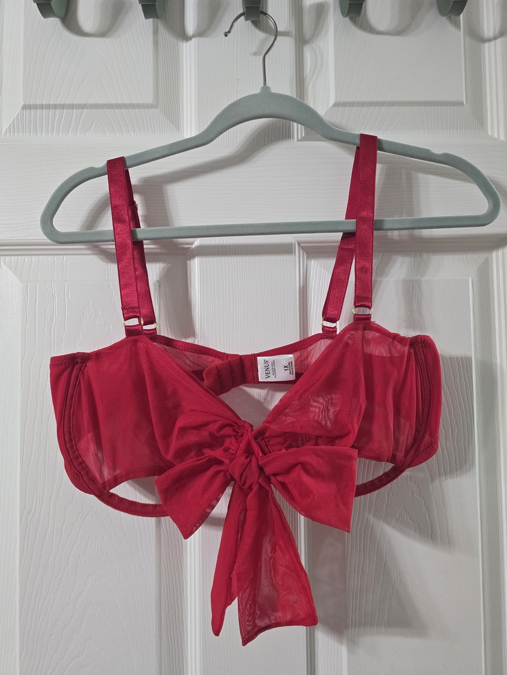 Red Sheer Bow Front Bralette Bra & Matching Panty Set- Women Intimates Lingerie